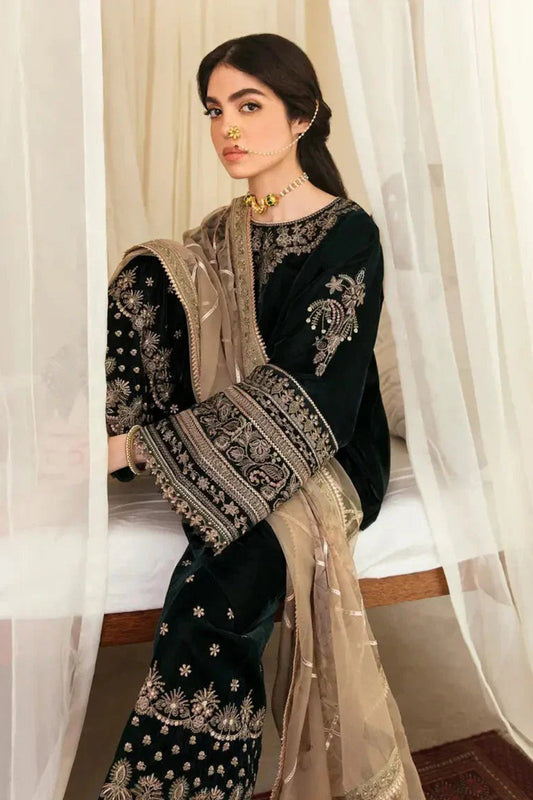 QN1118-Winter Embroidered Velvet Dress With Organza embroidered Dopata